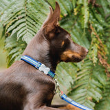 Red Dingo Collar Navy Horizontal Stripes